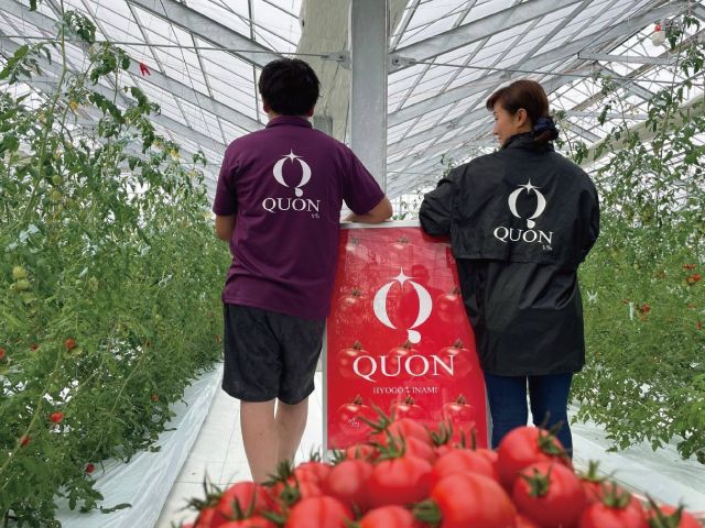 QOUN（久遠Tomato farm）様